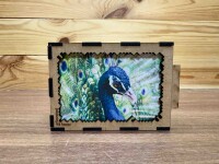 elbPUZZLE No. 57 - Tierwelten: Pfau - Fractale Edition